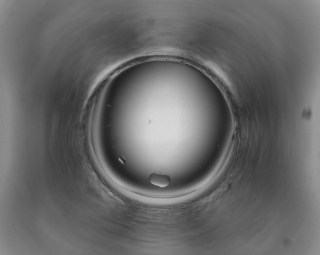 X0000091981364200709201418