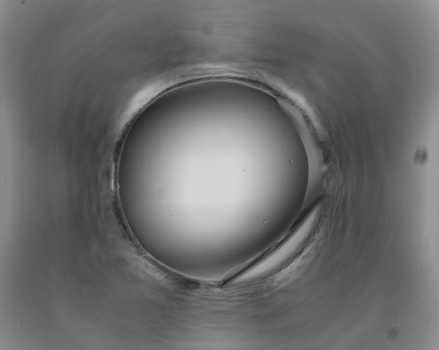 X0000091981365200709201418