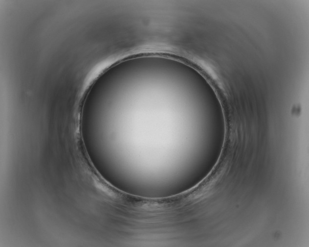 X0000091981366200709201418