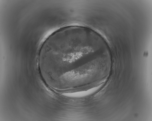 X0000091981367200709201417