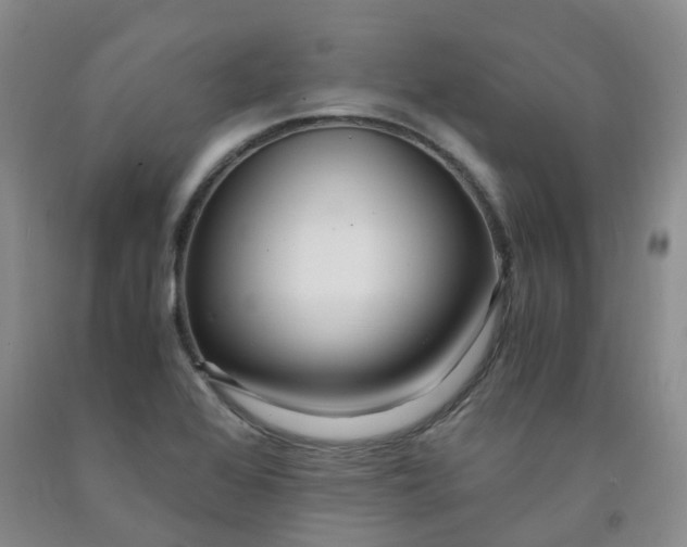 X0000091981368200709201417