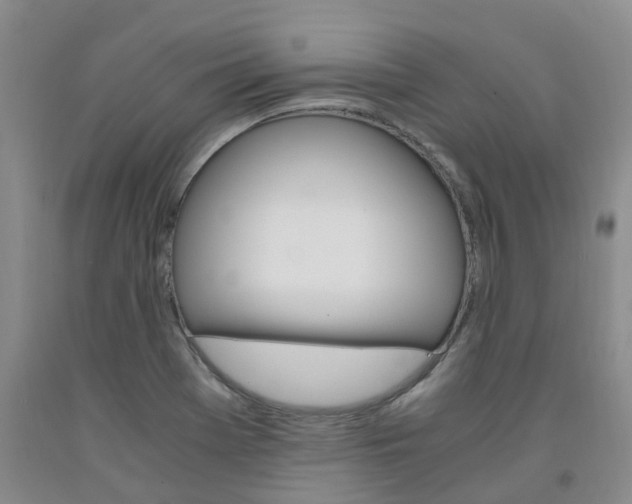 X0000091981369200709201417