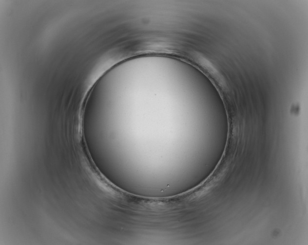 X0000091981370200709201417