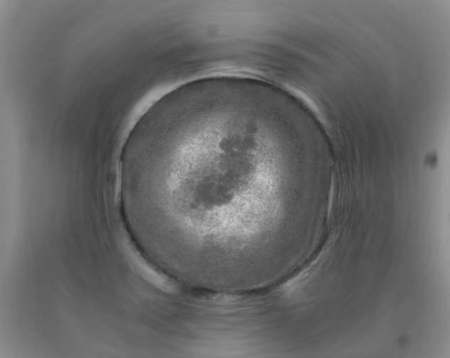 X0000091981371200709201417