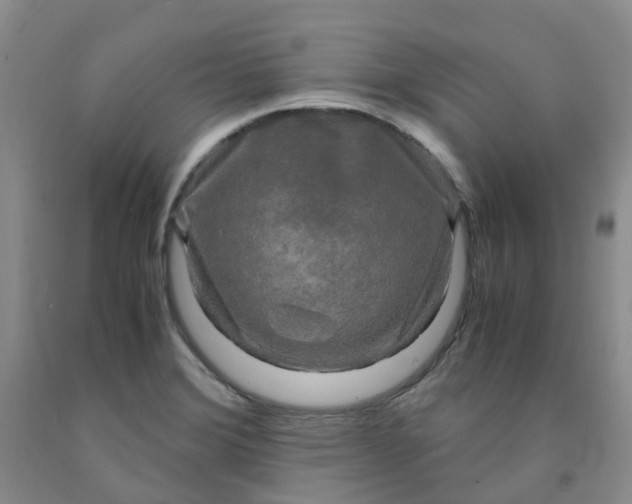 X0000091981372200709201417