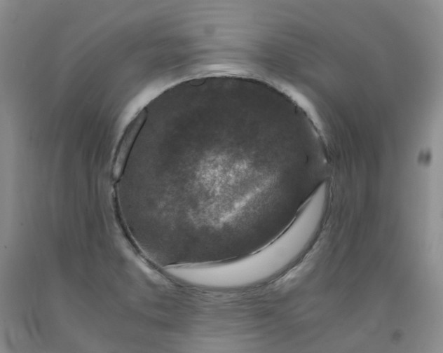 X0000091981373200709201417