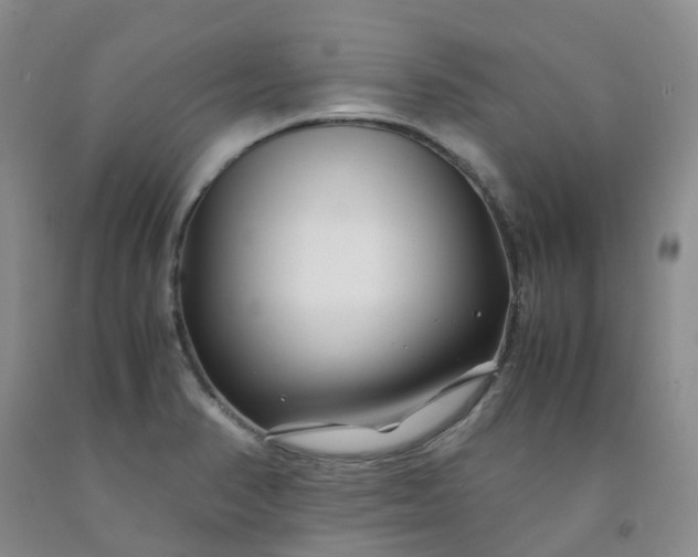 X0000091981374200709201417