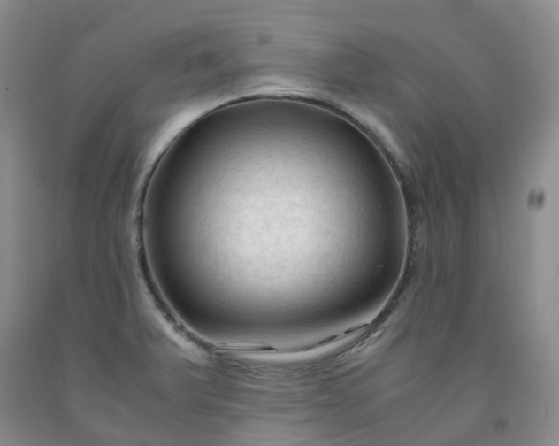 X0000091981375200709201417