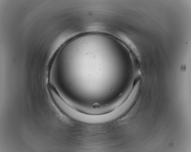 X0000091981376200709201417