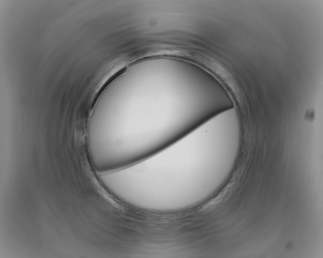 X0000091981377200709201417