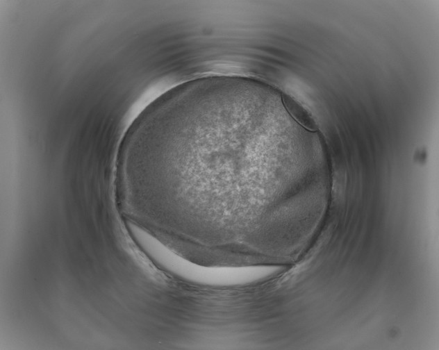 X0000091981378200709201417