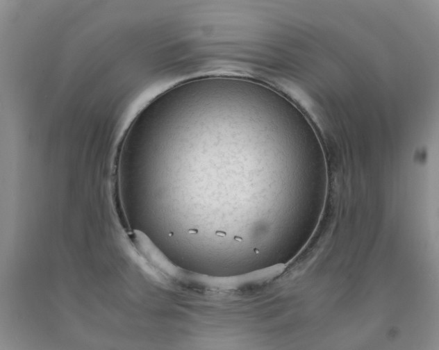 X0000091981379200709201417