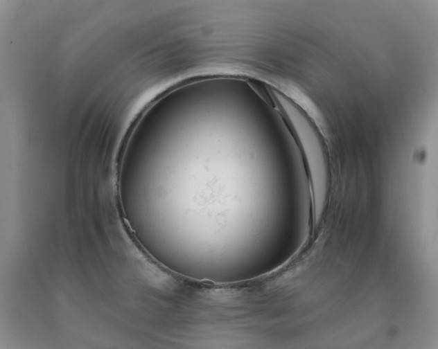 X0000091981380200709201417