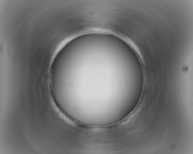 X0000091981381200709201417