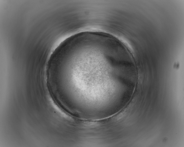 X0000091981382200709201417