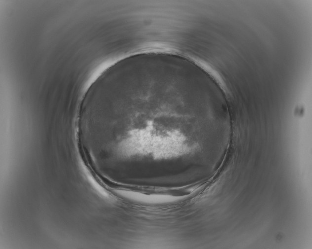 X0000091981383200709201417