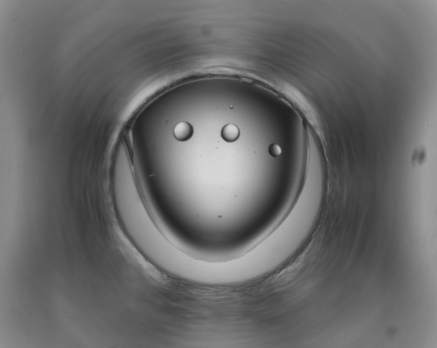 X0000091981384200709201417