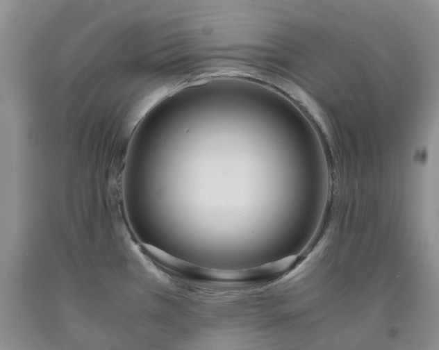 X0000091981385200709201417