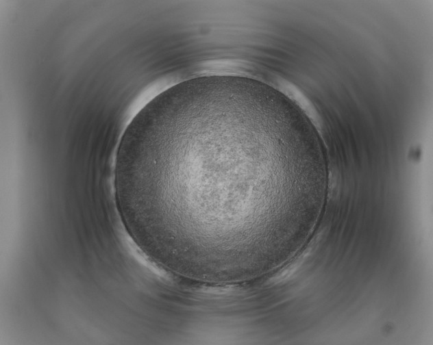 X0000091981386200709201417