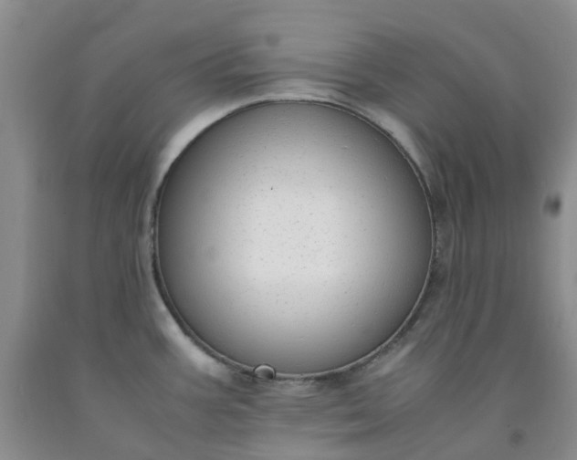 X0000091981387200709201417