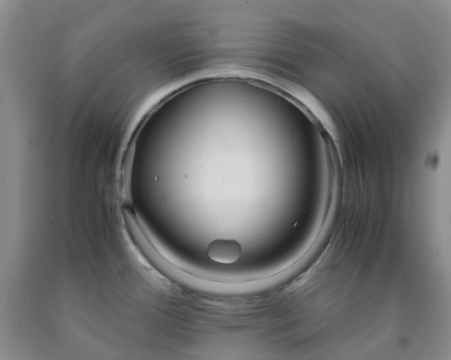 X0000091981388200709201417