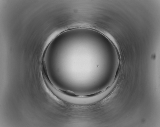 X0000091981389200709201417