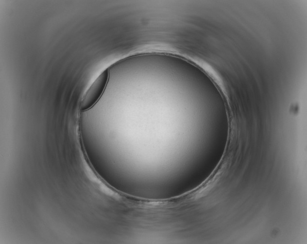 X0000091981390200709201417