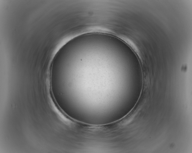 X0000091981391200709201417