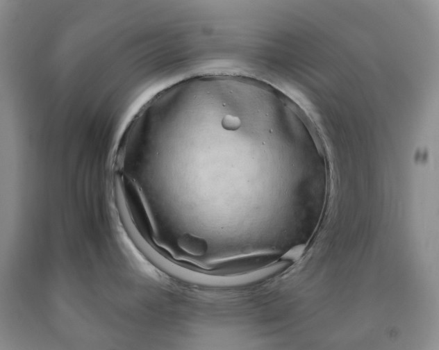 X0000091981392200709201417