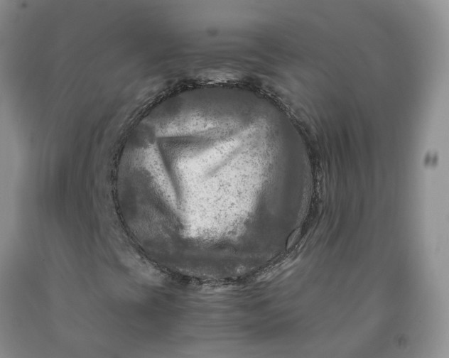 X0000091981393200709201416