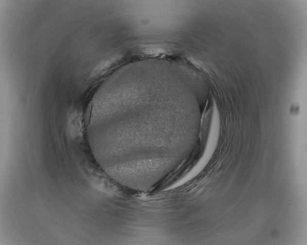 X0000091981394200709201416