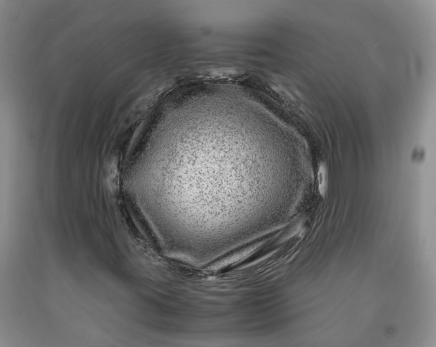 X0000091981395200709201416