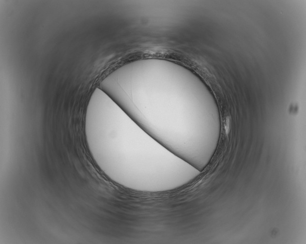 X0000091981396200709201416