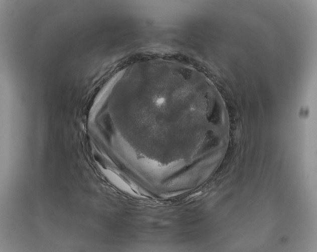 X0000091981397200709201416