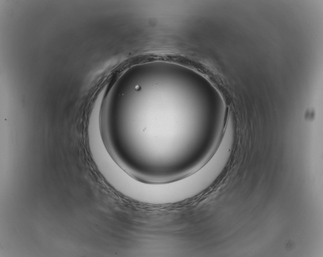 X0000091981398200709201416