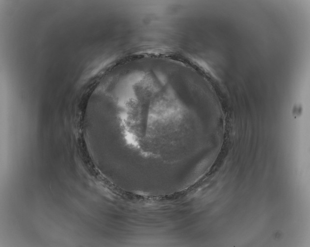 X0000091981399200709201416