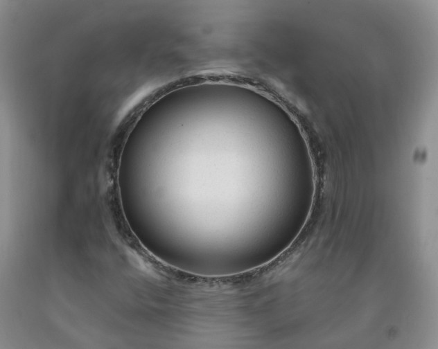 X0000091981400200709201416