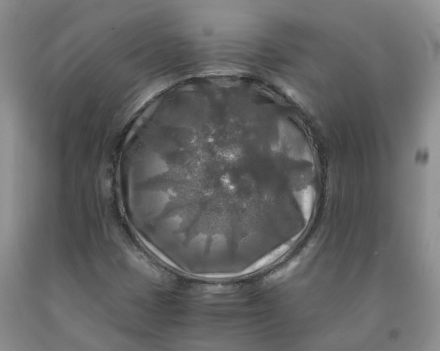 X0000091981401200709201417