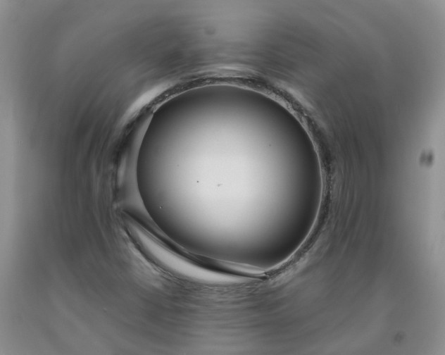 X0000091981402200709201417