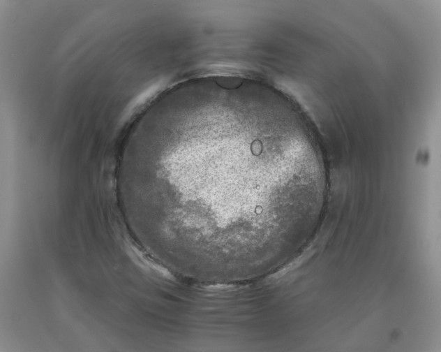 X0000091981403200709201417