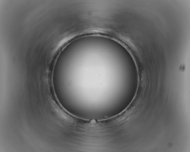 X0000091981404200709201417