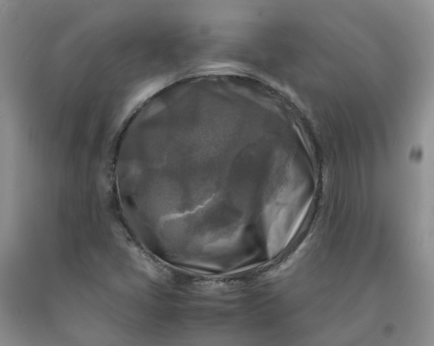 X0000091981405200709201417