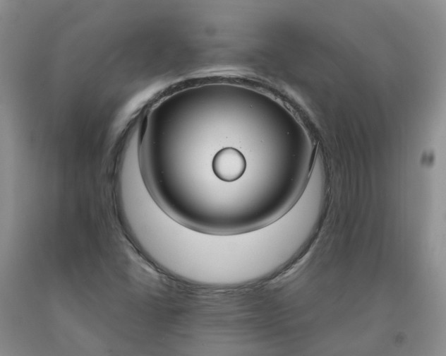 X0000091981406200709201417