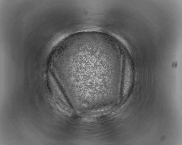 X0000091981407200709201417