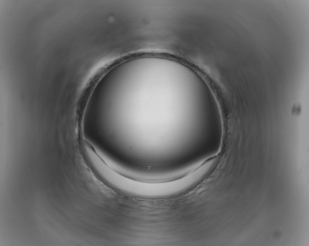 X0000091981408200709201417