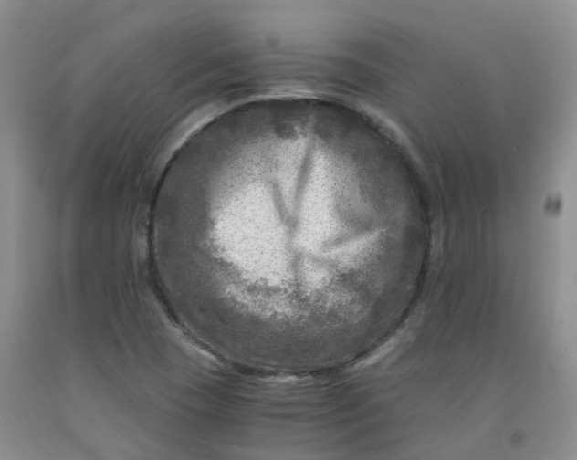 X0000091981409200709201417