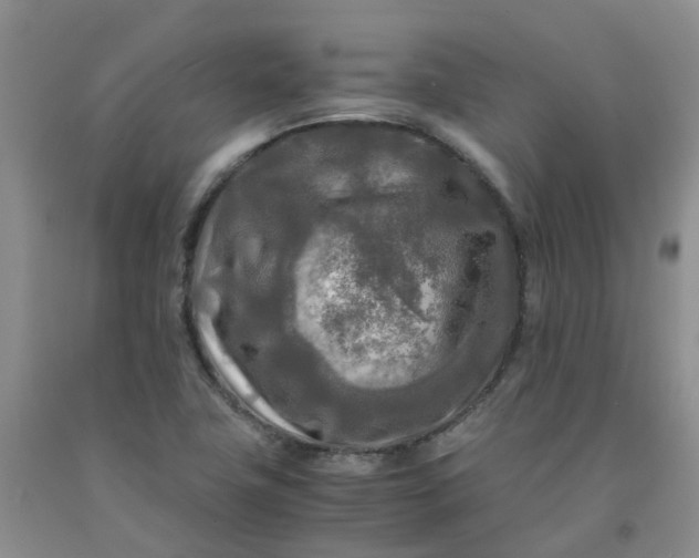 X0000091981411200709201417