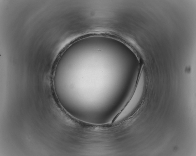 X0000091981412200709201417