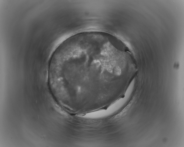 X0000091981413200709201417