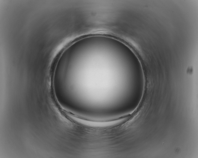 X0000091981414200709201417